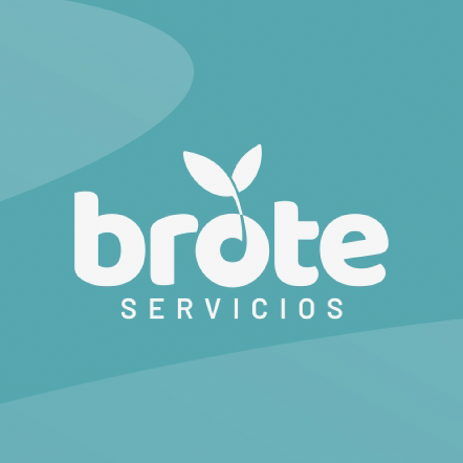 Brote Servicios